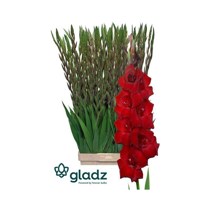 Rus etuk ayol anal birinchi marta Yoqimli sexy qizlar galereyasi