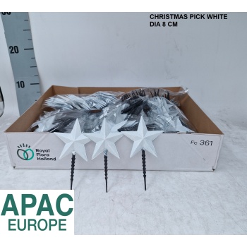 chr. pick white star.jpeg