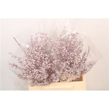 ilex metallic purple.jpeg