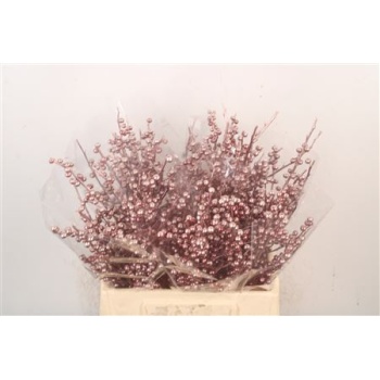 ilex metallic red.jpeg