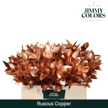 ruscus copper.jpeg