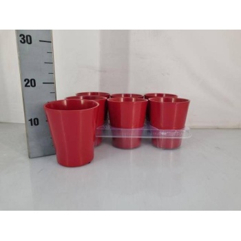 cer phal. red.jpeg
