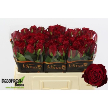 madam red omang5.jpeg