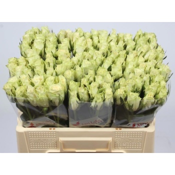 athena agri lake.jpeg