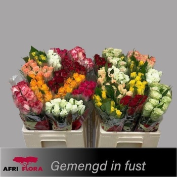 afriflora mix.jpeg