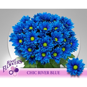 chic blue.jpeg