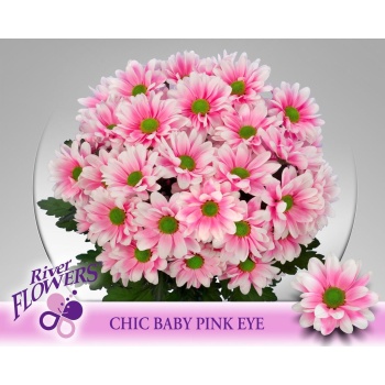 chic pink.jpeg