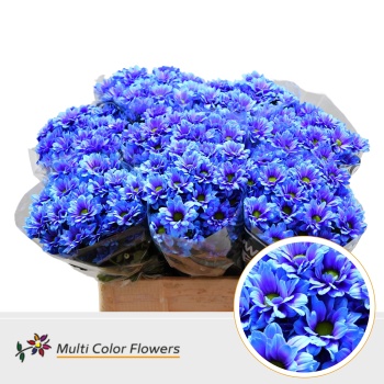 northern lights.jpeg