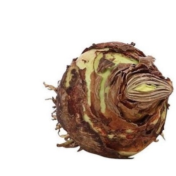484x840.jpg