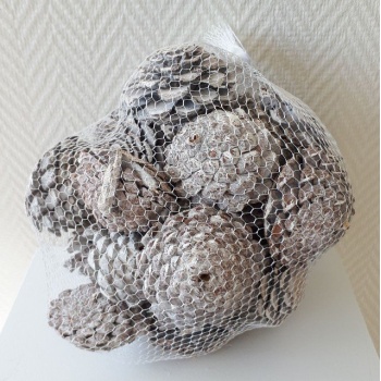 Pinecone-MaritimaWhite-12pcs_bag.jpeg