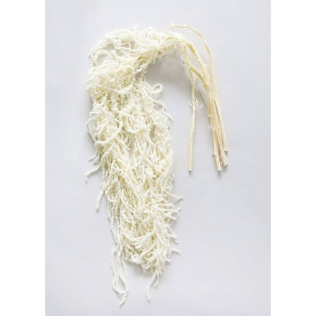 dry amaranthus bleached.jpg