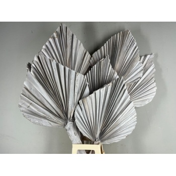 king spear white.jpg