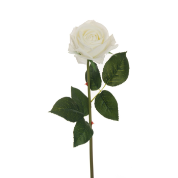 250606-122109.png