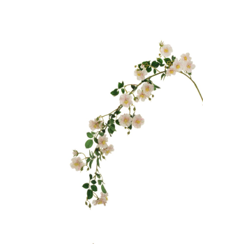 250606-123012.png