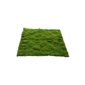 250715-131207.png