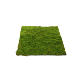 250715-131223.png