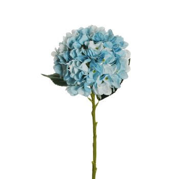 251027-110138.png 251027-110138.png