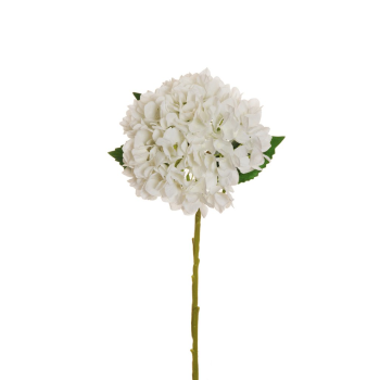 80-387158.png