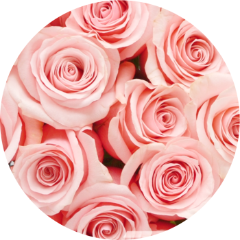 Be-Sweet-A.png