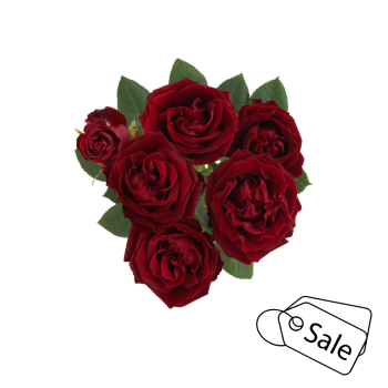 FIBONACCI ROSSO.png