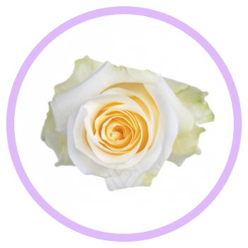 CREME DE LA CREME.png