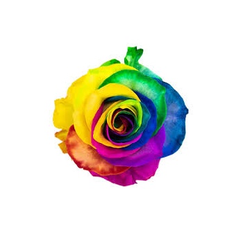 R GR TINTED RAINBOW 70CM.jpeg
