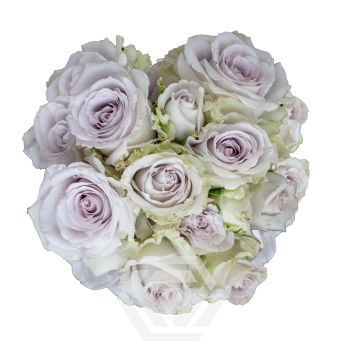 LAVENDER JEWEL.png