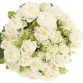 bridal flow.jpg