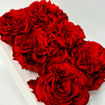 GARDEN RED.png