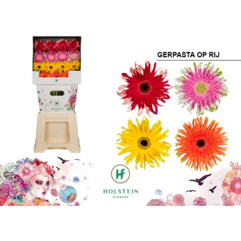 gerpasta mix.jpg
