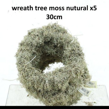 wreath moss.jpeg