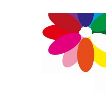 product/img.floraplaza.nl/103512-40-ART_fotos-Standaard mix.jpg