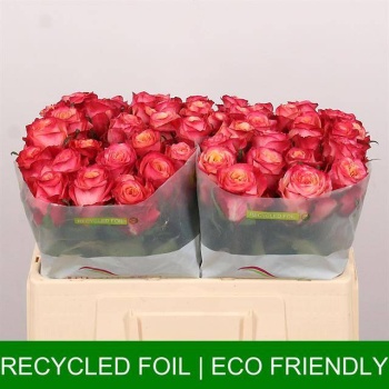 product/img.floraplaza.nl/125463-50-LIVE_fotos-0xF7722BF8A1FB7C5F3DCECDB2139812D2562A7D37.jpg