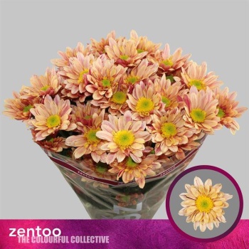 product/img.floraplaza.nl/130454-70-LIVE_fotos-0xB705115CA1666E460B2F71E604F4769B0213C3BB.jpg
