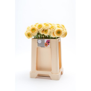 product/img.floraplaza.nl/130763-50-LIVE_fotos-0xA92A3AB694689E049E9AC81561BF6DEB7459C6C6.jpg