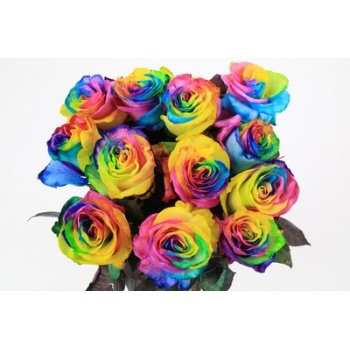 product/img.floraplaza.nl/15126-50-LOVE-LIVE_fotos-0xDD2EE32F57698265B8CD9B538155319C26F78607.jpg