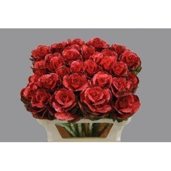 product/img.floraplaza.nl/17351-60-ASSORTI_fotos-ZZZZ-Reserve-MCF Brassica vrf rood glitter.jpg