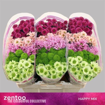 product/img.floraplaza.nl/17684-LIVE_fotos-0x38B81DBCEDE0BEE2E703EC32CACE5FB3099FF188.jpg