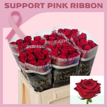 product/img.floraplaza.nl/27157-60-ASSORTI_fotos-Pink Ribbon 2025-Porta Nova Rosa LA Red Naomi- Unica Porta Nova 60cm.jpg