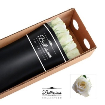 product/img.floraplaza.nl/28736-50BELL-LIVE_fotos-0xB336885896BC67308A4D320F313D38BDD2ABA784.jpg
