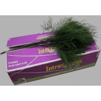 product/img.floraplaza.nl/3908-60-ASSORTI_fotos-GCON-GCON Blad treefern asparagus virgatus Intra Greens.jpg