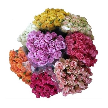 product/img.floraplaza.nl/595-40-LIVE_fotos-0xFC031C0D83BFA2CDF1F6C657D055632F8BDC9329.jpg