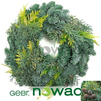 product/img.floraplaza.nl/7671-LIVE_fotos-0x5027C5547920DC791B41DD9A3D068AA73D5B02D9.jpg
