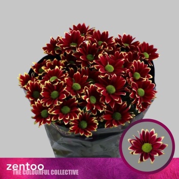 product/img.floraplaza.nl/CHRHAYY-LIVE_fotos-0xC157ADD72F9EB8F134F848FB32C2C5D1E5A42E77.jpg