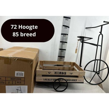 product/img.floraplaza.nl/DECBICYC72X85-LIVE_fotos-0xEFFDA50E4B8D3C0190ACBB0EDB2E79D741967629.jpg