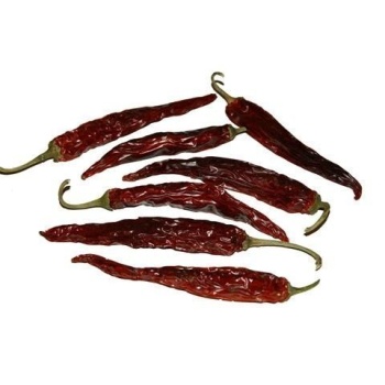 product/img.floraplaza.nl/FRUCHIL-ASSORTI_fotos-Lino-Fruit chili pepper long.jpg