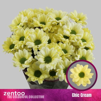 product/img.floraplaza.nl/LCHRCHIC-LIVE_fotos-0x5EAB997136CBE480D53A3E1E9B82D7F839E6F973.jpg