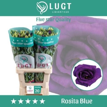 product/img.floraplaza.nl/LEUSROBLU-LIVE_fotos-0x0A4A39FCE41F66C4A34D8F43974744FBB665ADC7.jpg