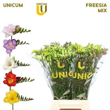 product/img.floraplaza.nl/LFREMIX-LIVE_fotos-0xA9F08C4C47F1E8F7176B6BEB9BBE0AC6BC8471F4.jpg