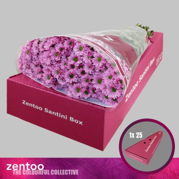 product/img.floraplaza.nl/LSANKRI-LIVE_fotos-0x2797A7BFAA1CE3E97FCC73C751DE4455F45D90B4.jpg
